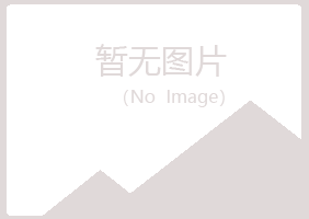 龙州县夏日水泥有限公司